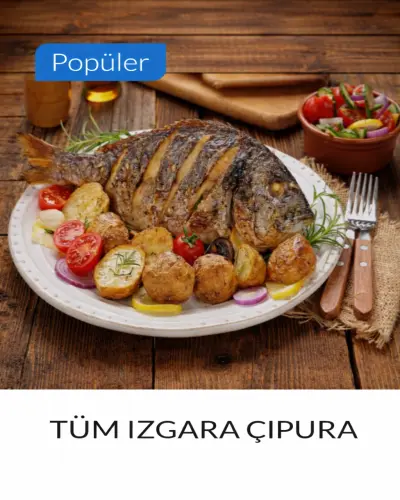 TÜM IZGARA ÇİPURA