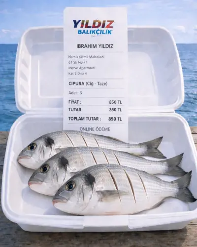 3 ADET TAZE ÇİPURA