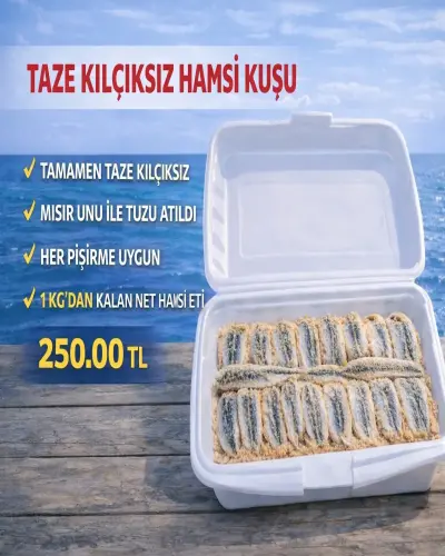 Taze Kılçıksız Hamsi Kuşu