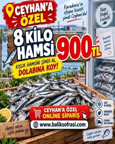 8 KİLO HAMSİ KAMPANYASI