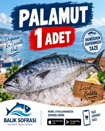 1 ADET TAZE PALAMUT