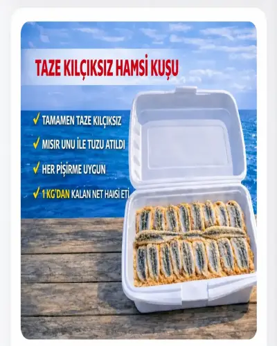 Taze Kılçıksız Hamsi Kuşu