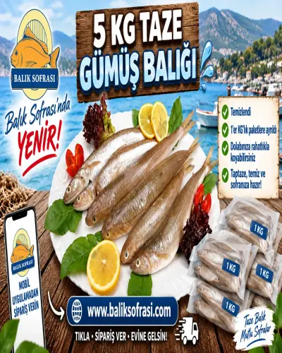 5 KİLO TAZE GÜMÜŞ