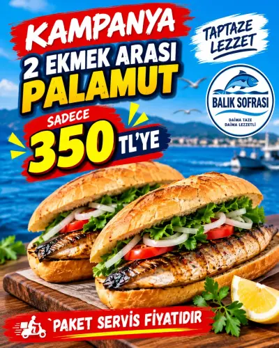 2 ÂDET KILÇIKSIZ EKMEK ARASI PALAMUT