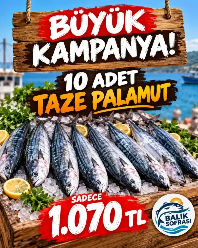 10 ÂDET TAZE KARADENİZ PALAMUT